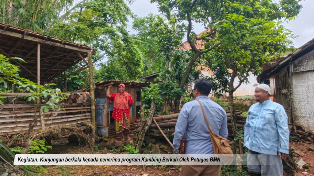 Baitul Maal KSPPS Nuri Jatim Salurkan Program Kambing Berkah untuk Kemandirian Ekonomi Keluarga